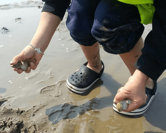 마시안 해변 갯벌 체험